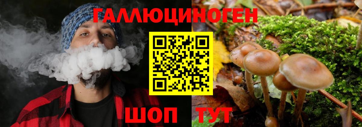 Псилоцибиновые грибы прущие грибы Новоалтайск