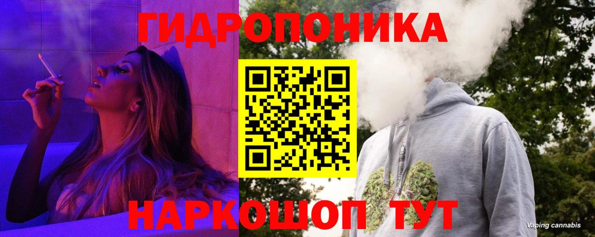 Бошки марихуана VHQ Новоалтайск